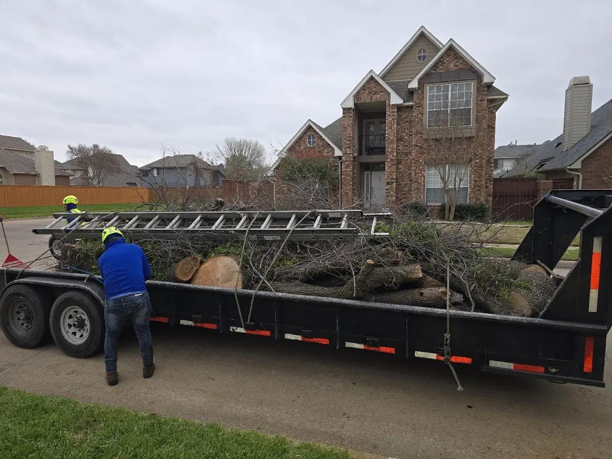 Expert Tree Fertilization with proper safety equipment in Twin Bridges